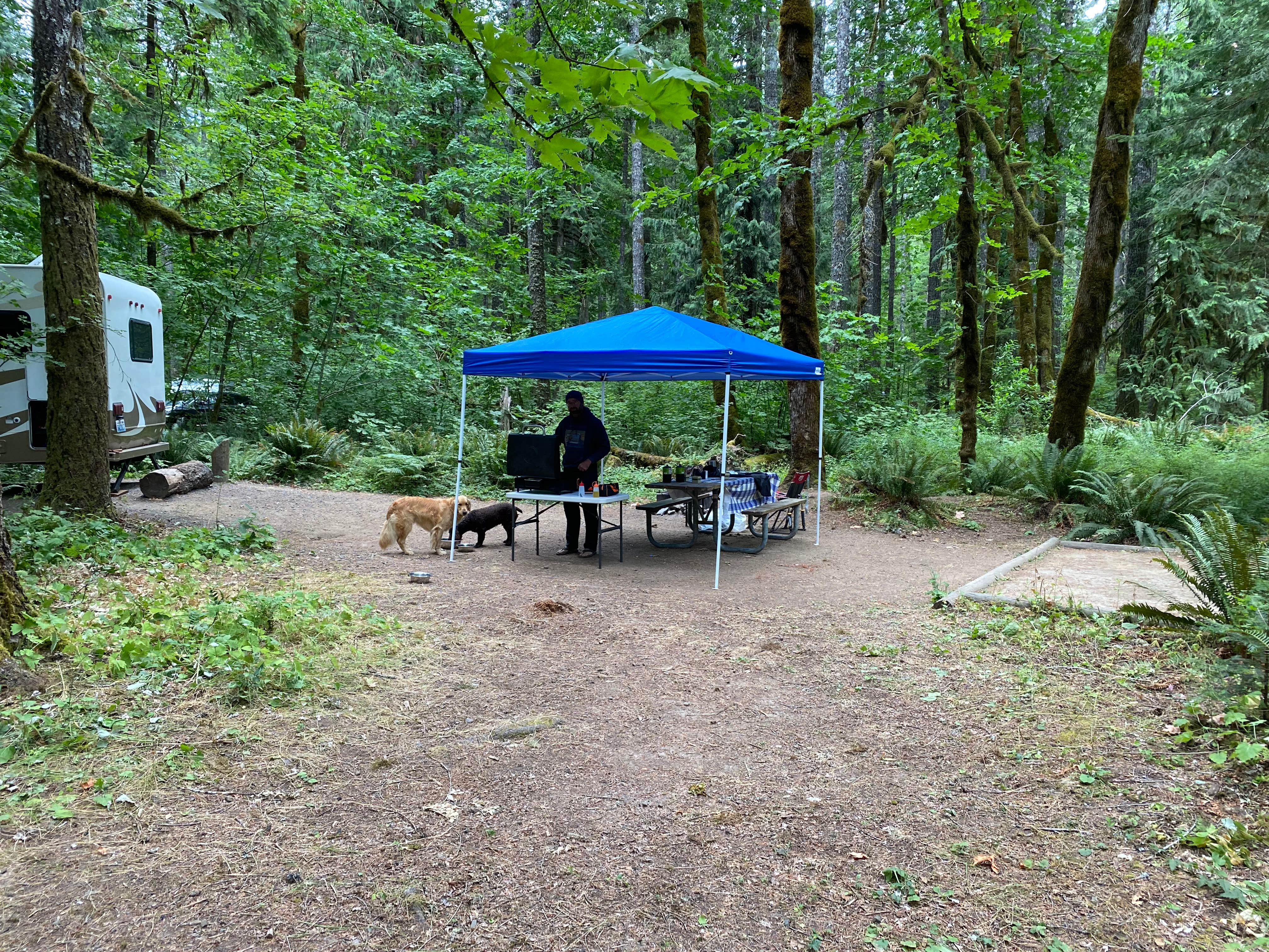 Best camping near Hood River, Oregon The Dyrt