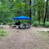 Review photo of Panther Creek Campground by L & K S., August 9, 2021