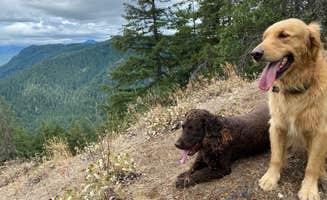 L & K S.'s photo of camping with pets at Panther Creek Campground near Columbia River Gorge National Scenic Area