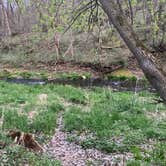 Review photo of Fountain Springs County Park by Kerry M., August 9, 2021