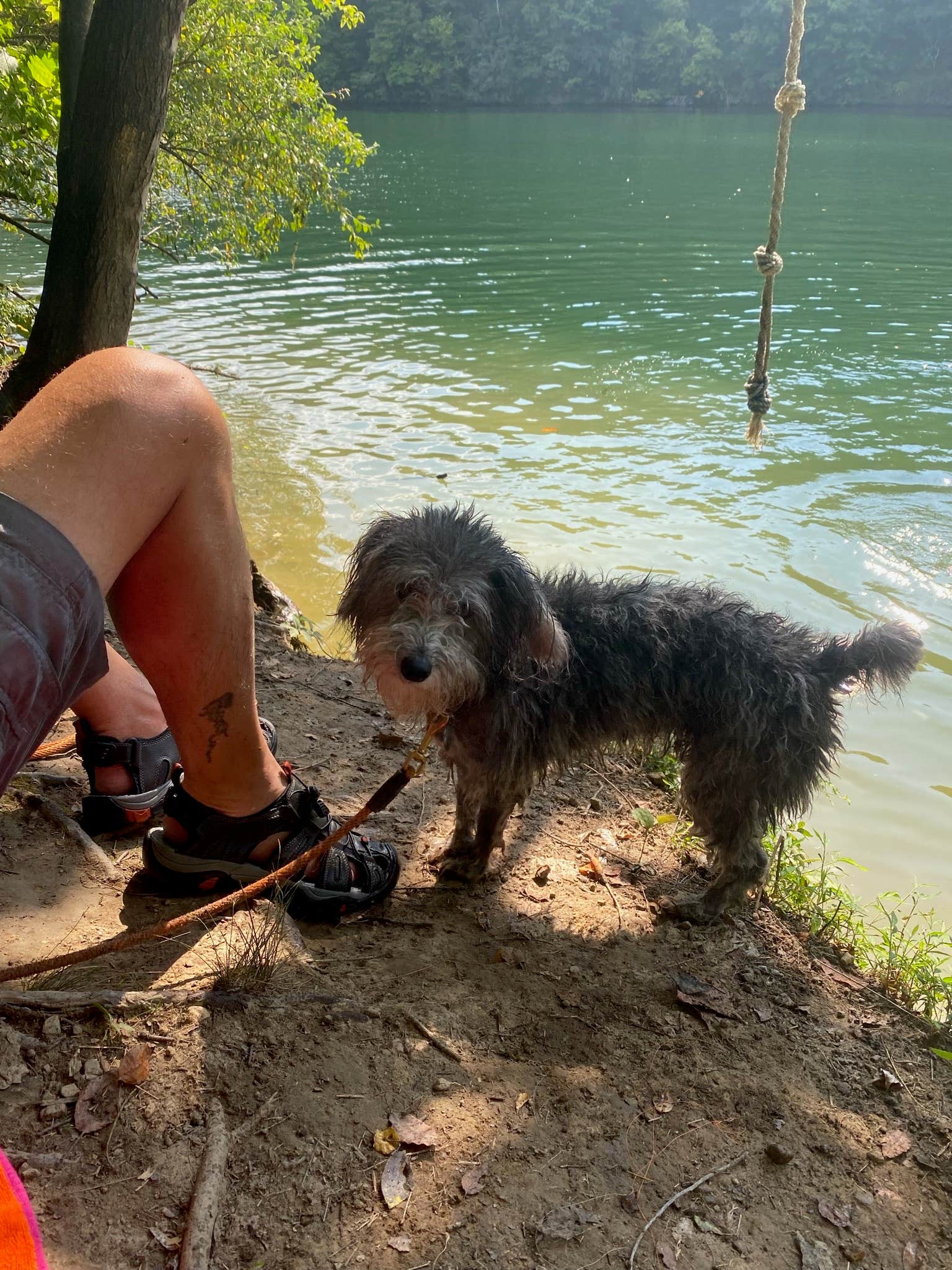 Todd C.'s photo of camping with pets at Carr Creek State Park Campground near Lynch, KY