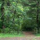 Review photo of Carr Creek State Park Campground by Todd C., August 9, 2021