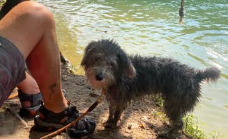 Todd C.'s photo of camping with pets at Carr Creek State Park Campground near Keokee, VA