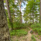 Review photo of Twin Knobs Recreation Area by Todd C., August 9, 2021