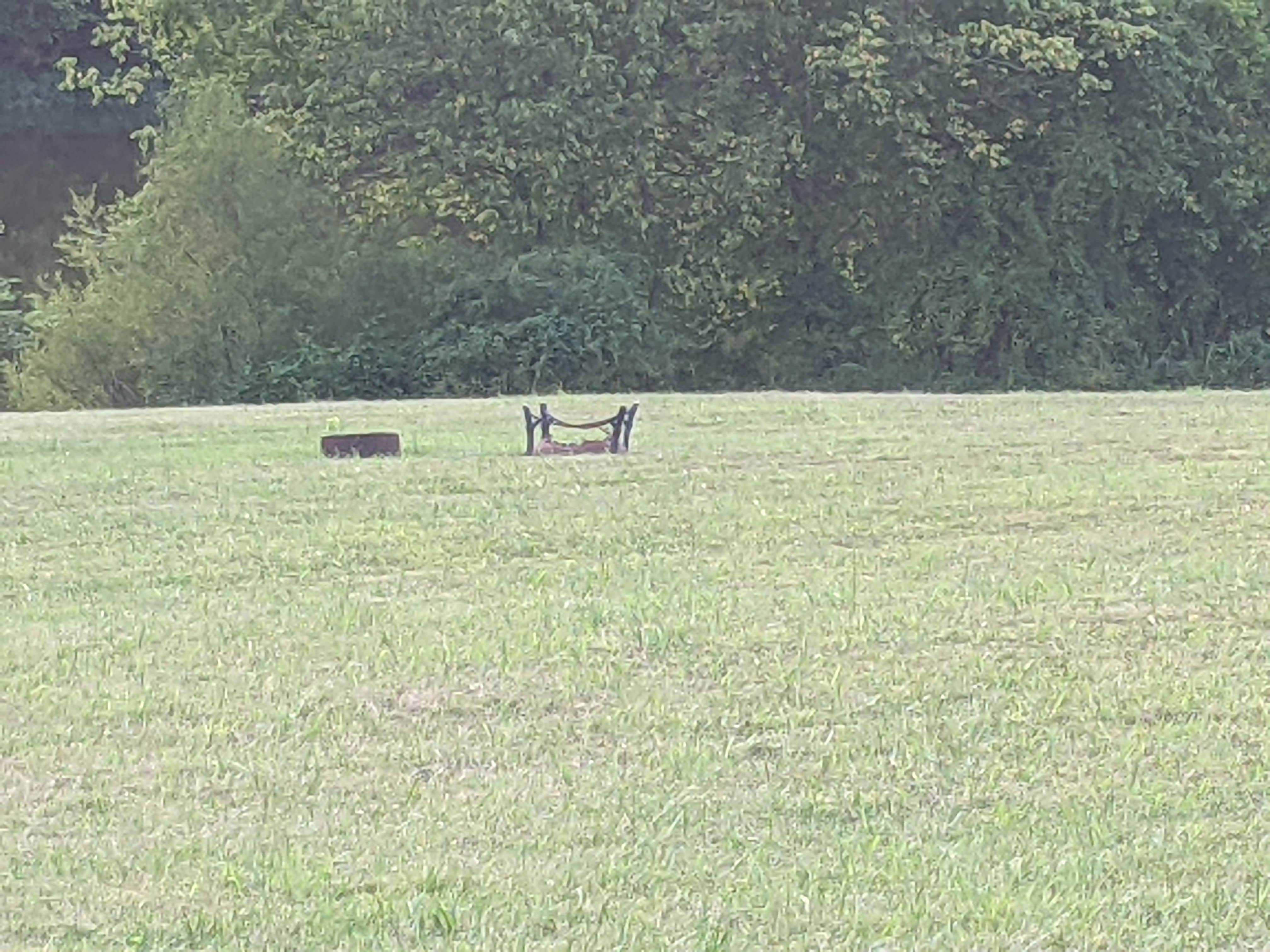 Camper-submitted photo at Statts Mills Campground near Spencer, WV