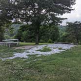 Review photo of Statts Mills Campground by Andrew S., August 10, 2021