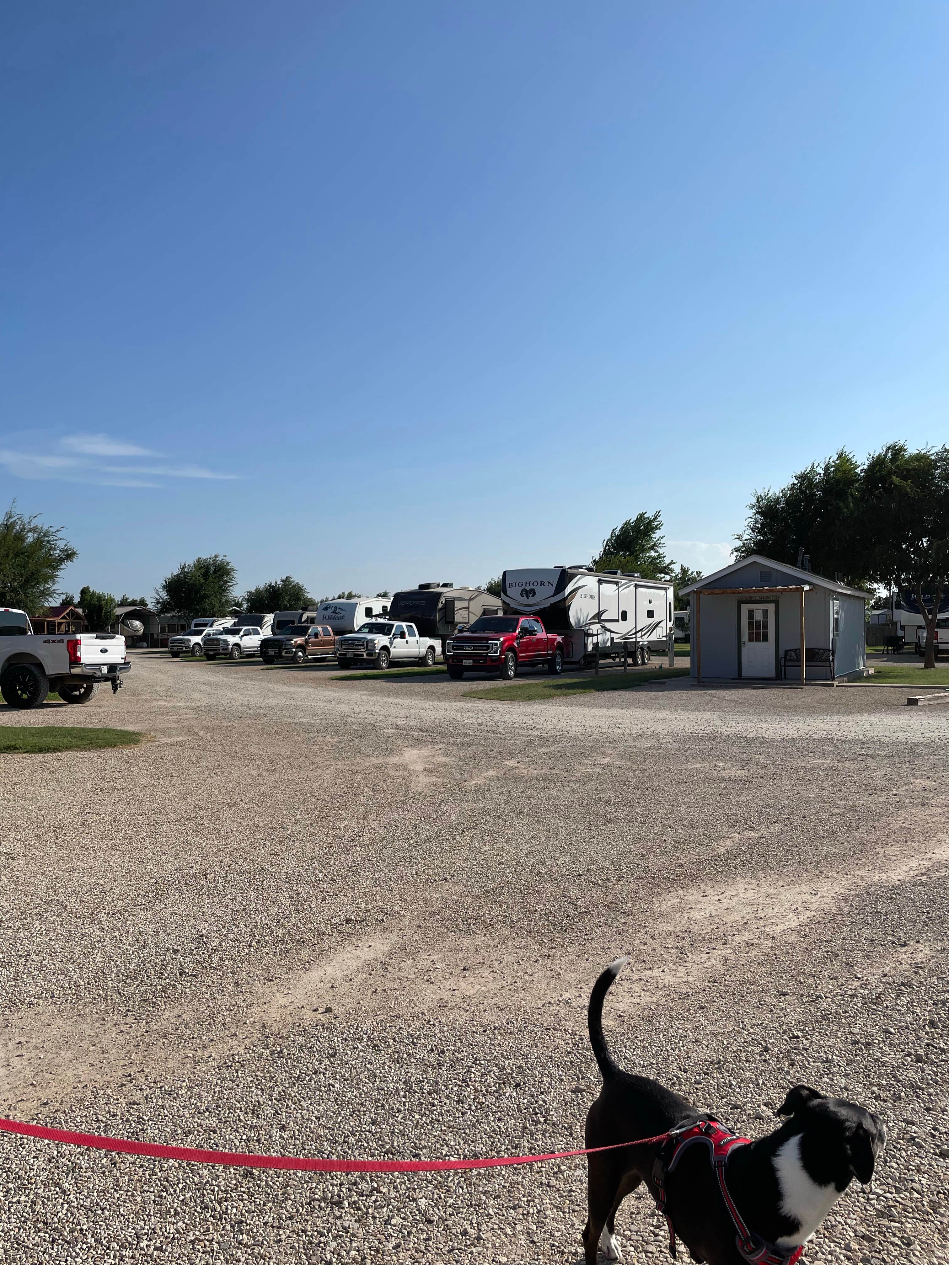 Debbie J.'s photo of camping with pets at Twin Pine RV Park near Lubbock, TX