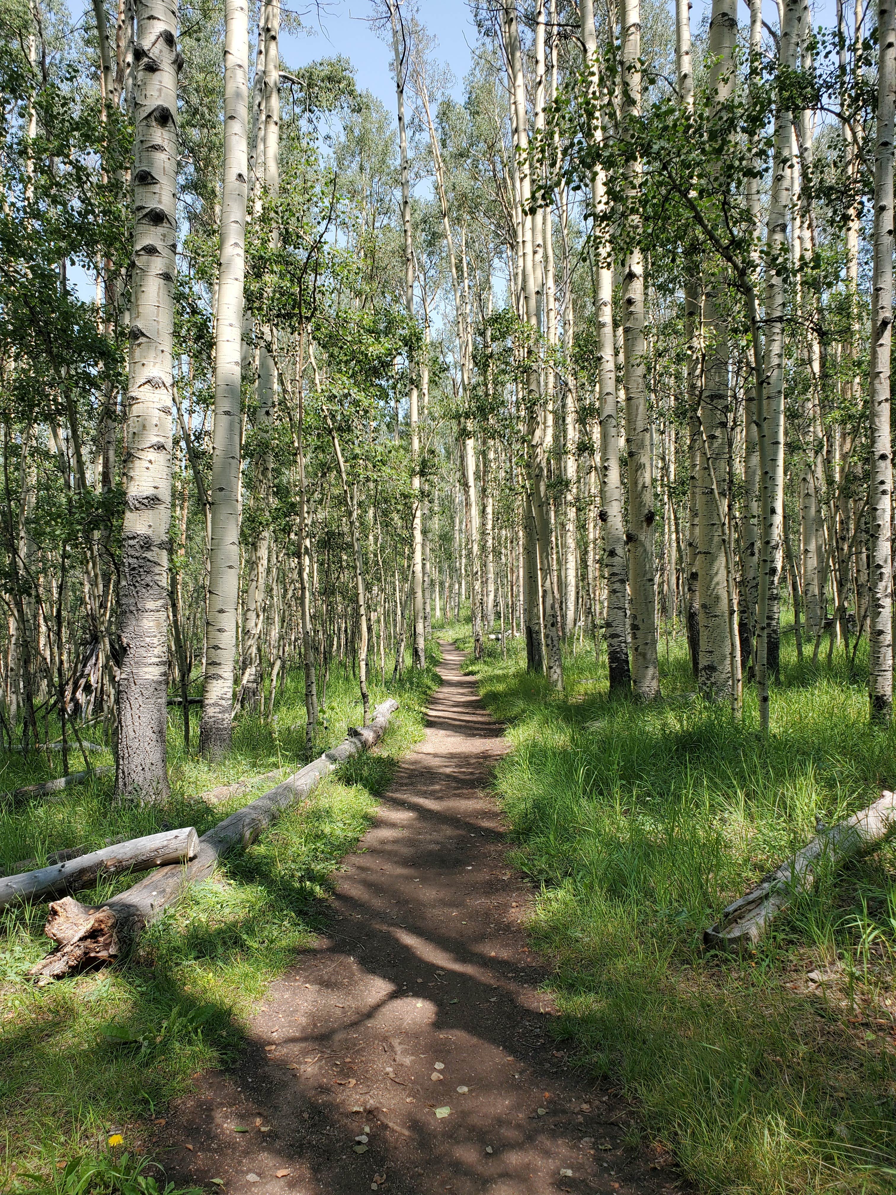 Camping near Timberline Campground: Kenosha East Campground, Jefferson, Colorado