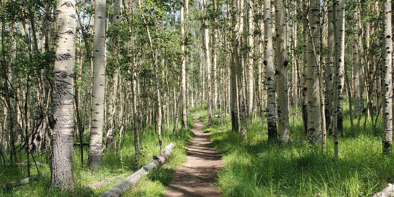 Camper submitted image from Kenosha East Campground