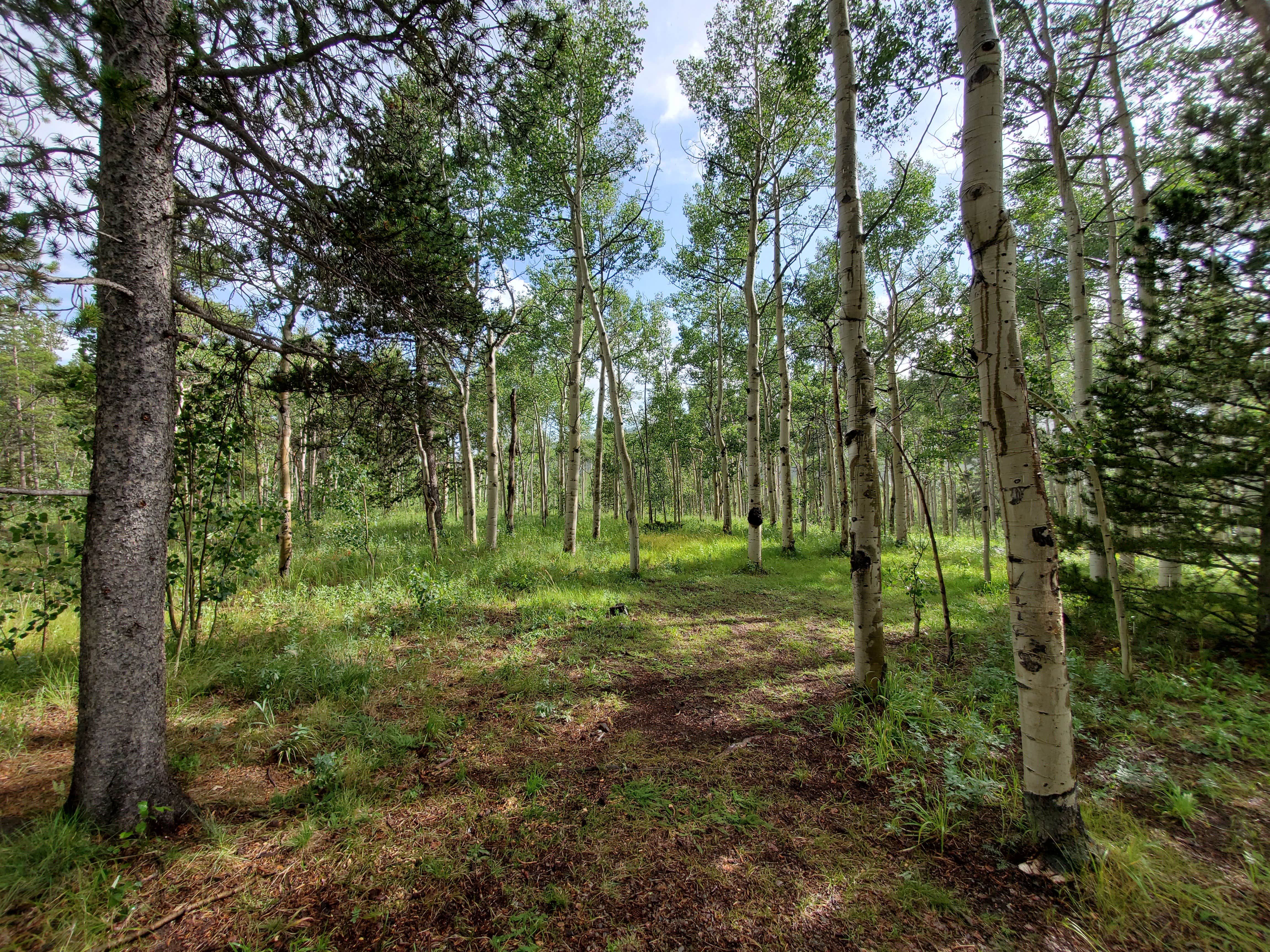 Camper-submitted photo at Kenosha East Campground near Como, CO