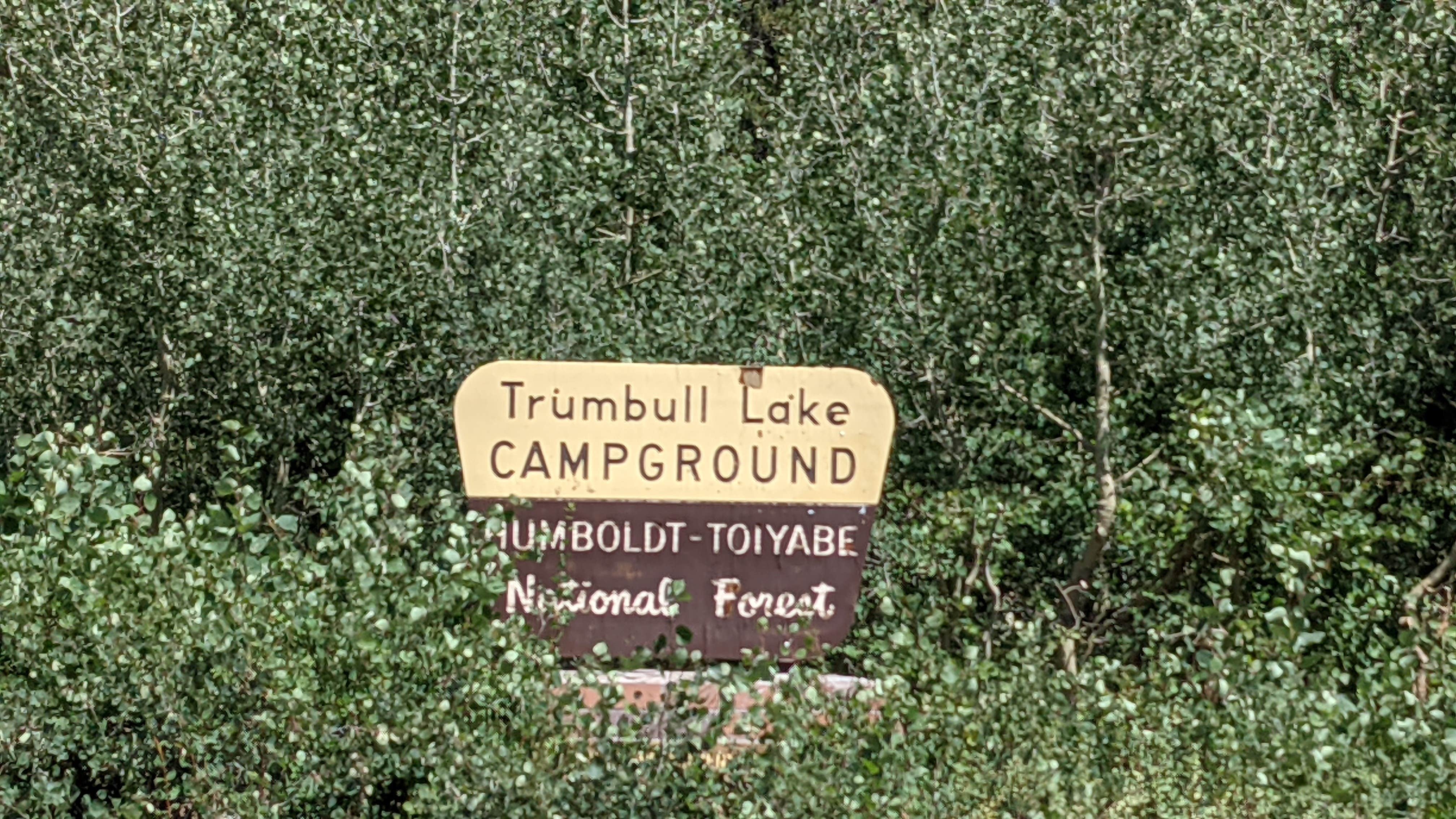 Camper submitted image from Trumbull Lake - 2