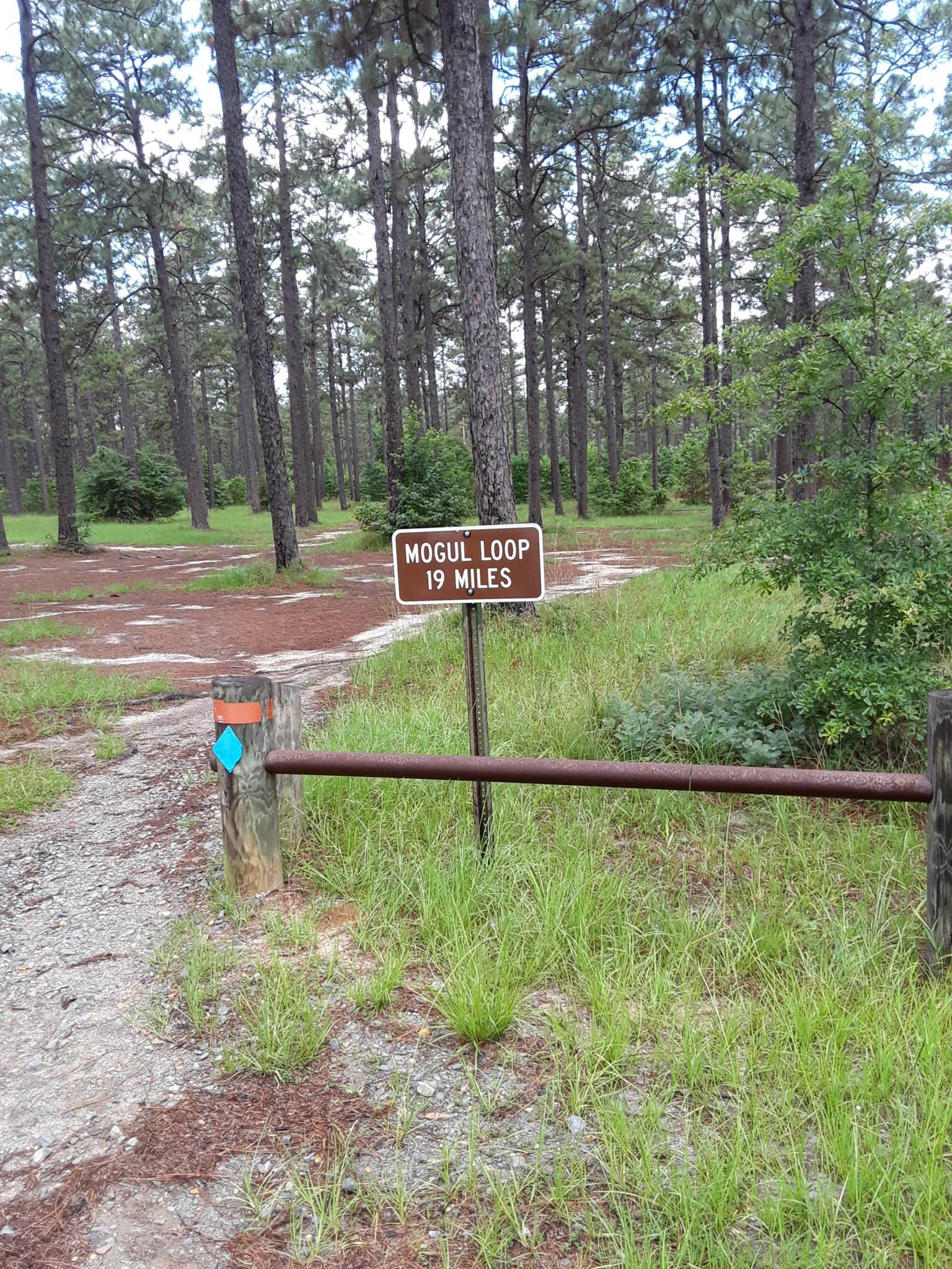 Camper-submitted photo at Enduro Complex near Lecompte, LA