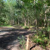 Review photo of Buccaneer State Park Campground by DENISE G., August 10, 2021