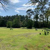 Review photo of Buccaneer State Park Campground by DENISE G., August 10, 2021