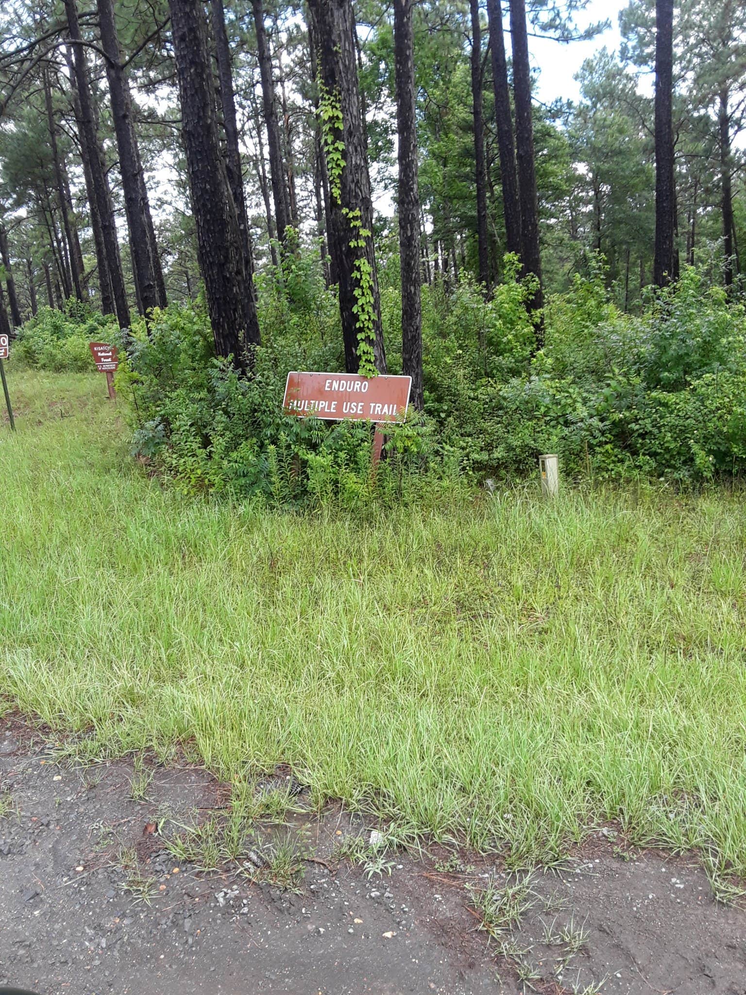 Camper-submitted photo at Enduro Complex near Lecompte, LA