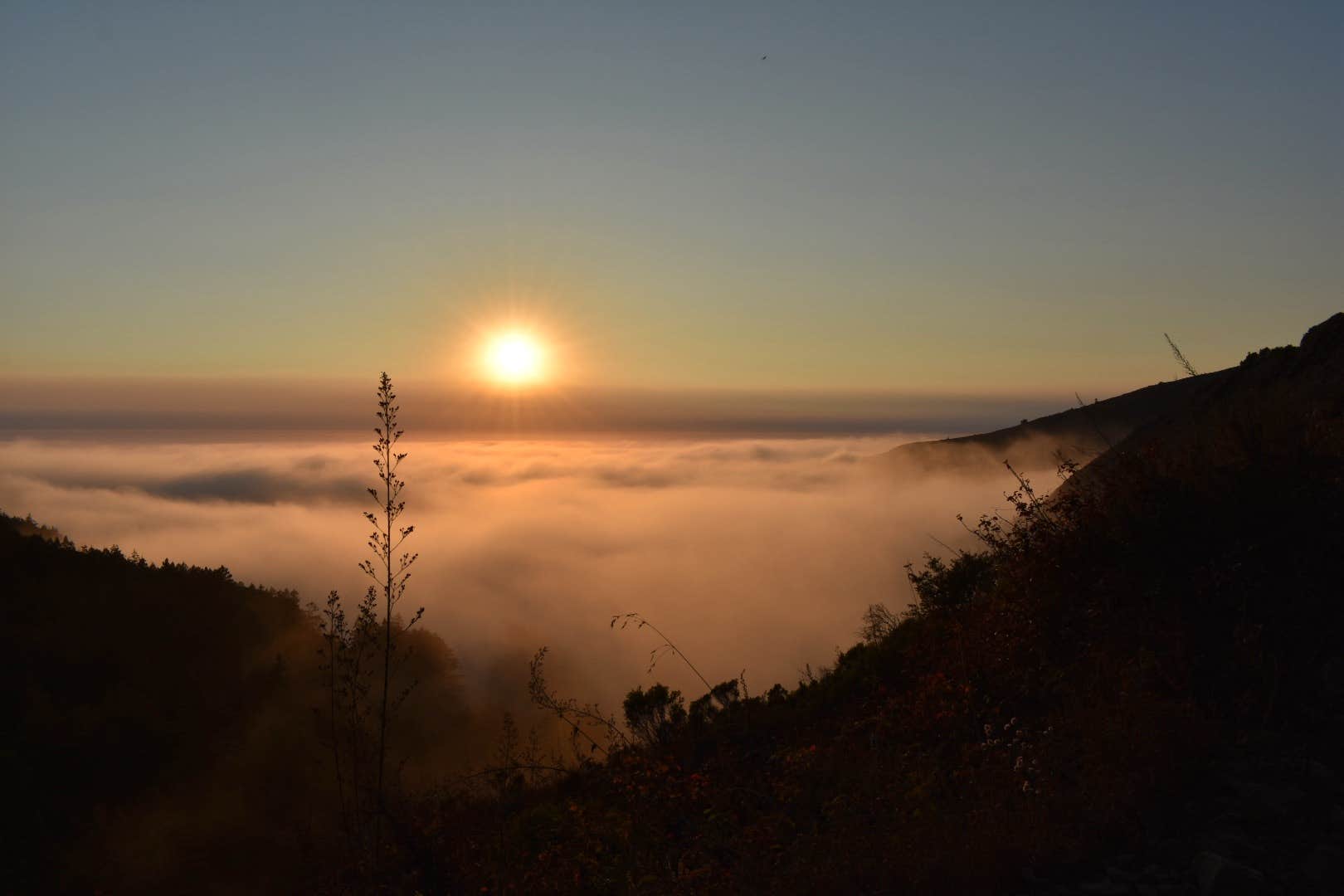 Camper-submitted photo at Alder Creek Camp near Fort Hunter Liggett, CA