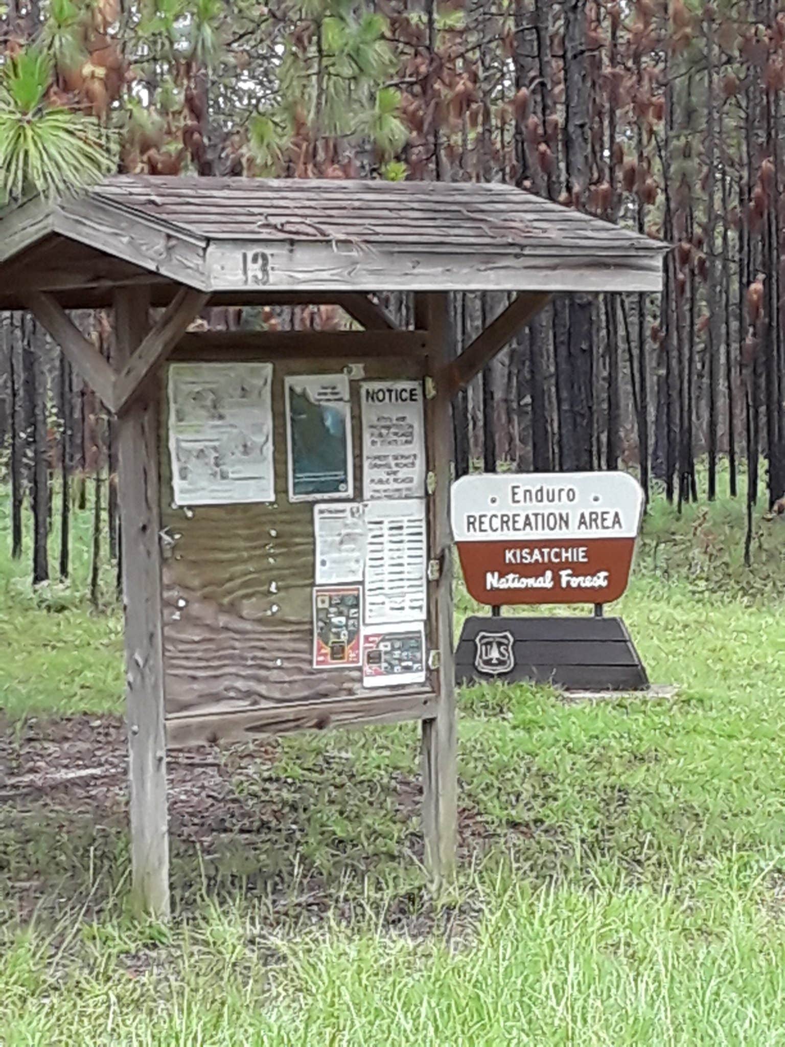 Camper-submitted photo at Enduro Complex near Lecompte, LA