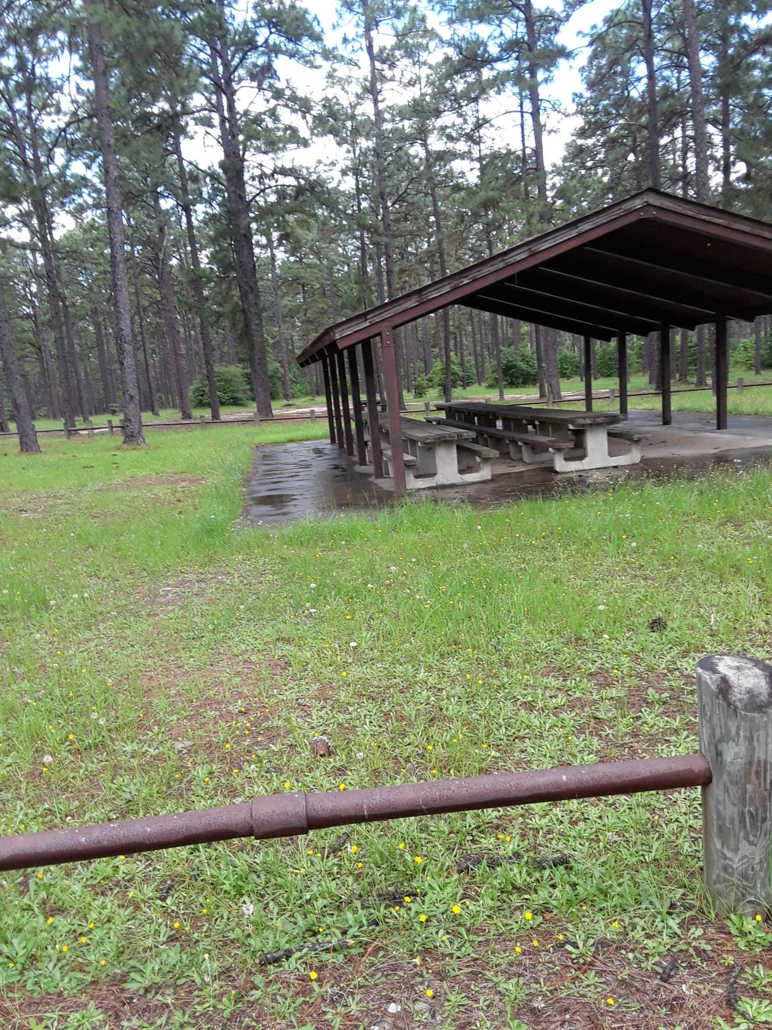 Camping near Hunters Camp - Calcasieu Ranger District: Enduro Complex, Pitkin, Louisiana