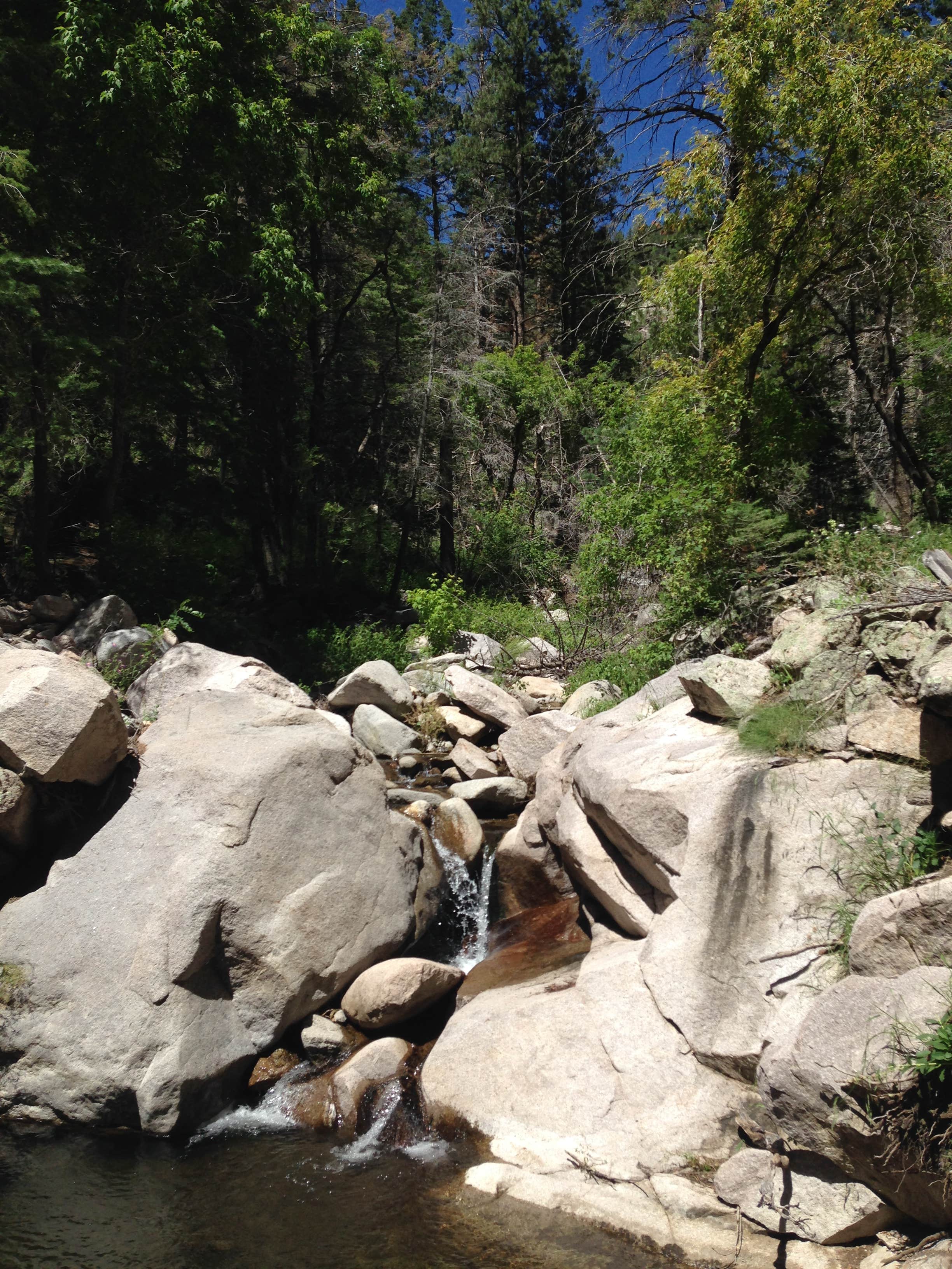 Best dispersed camping near Cloudcroft, New Mexico The Dyrt