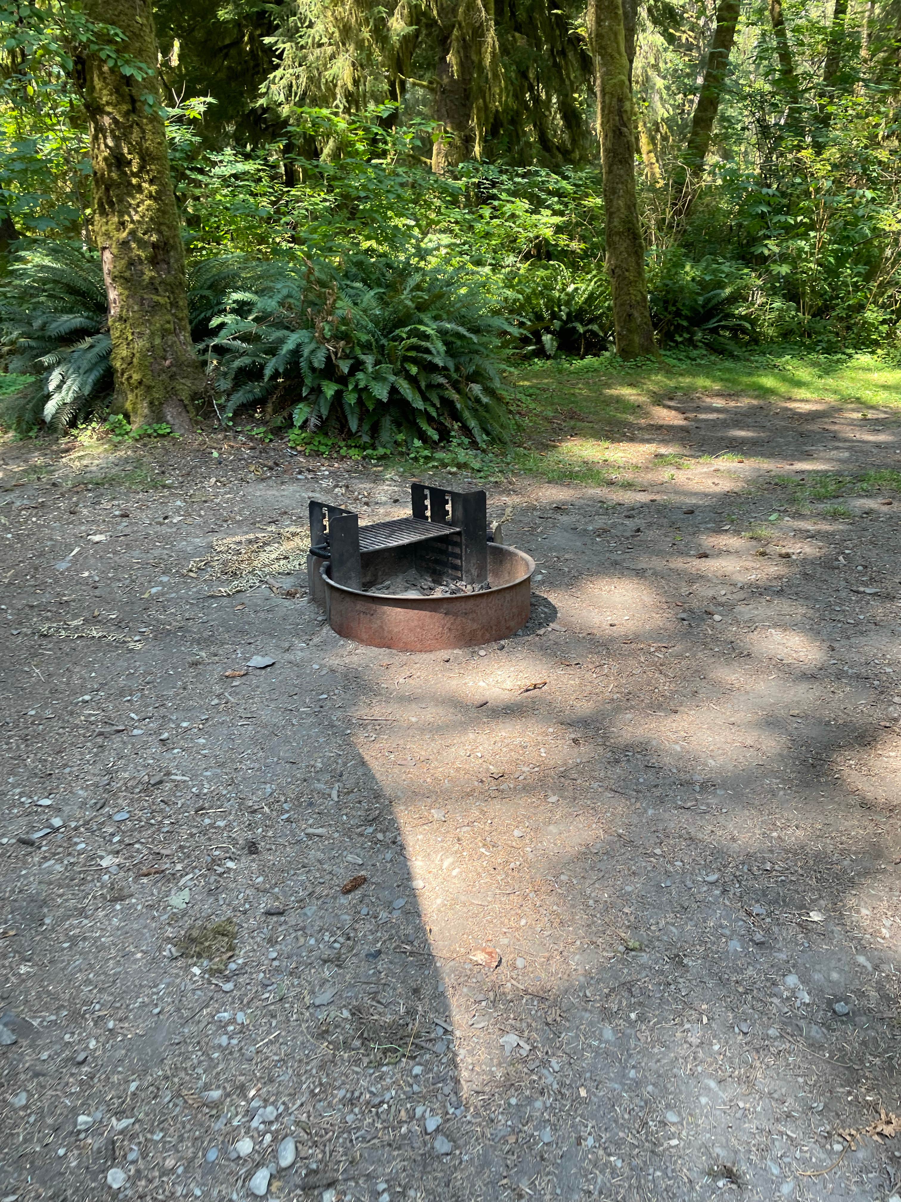 Camper submitted image from Cottonwood Campground - 2