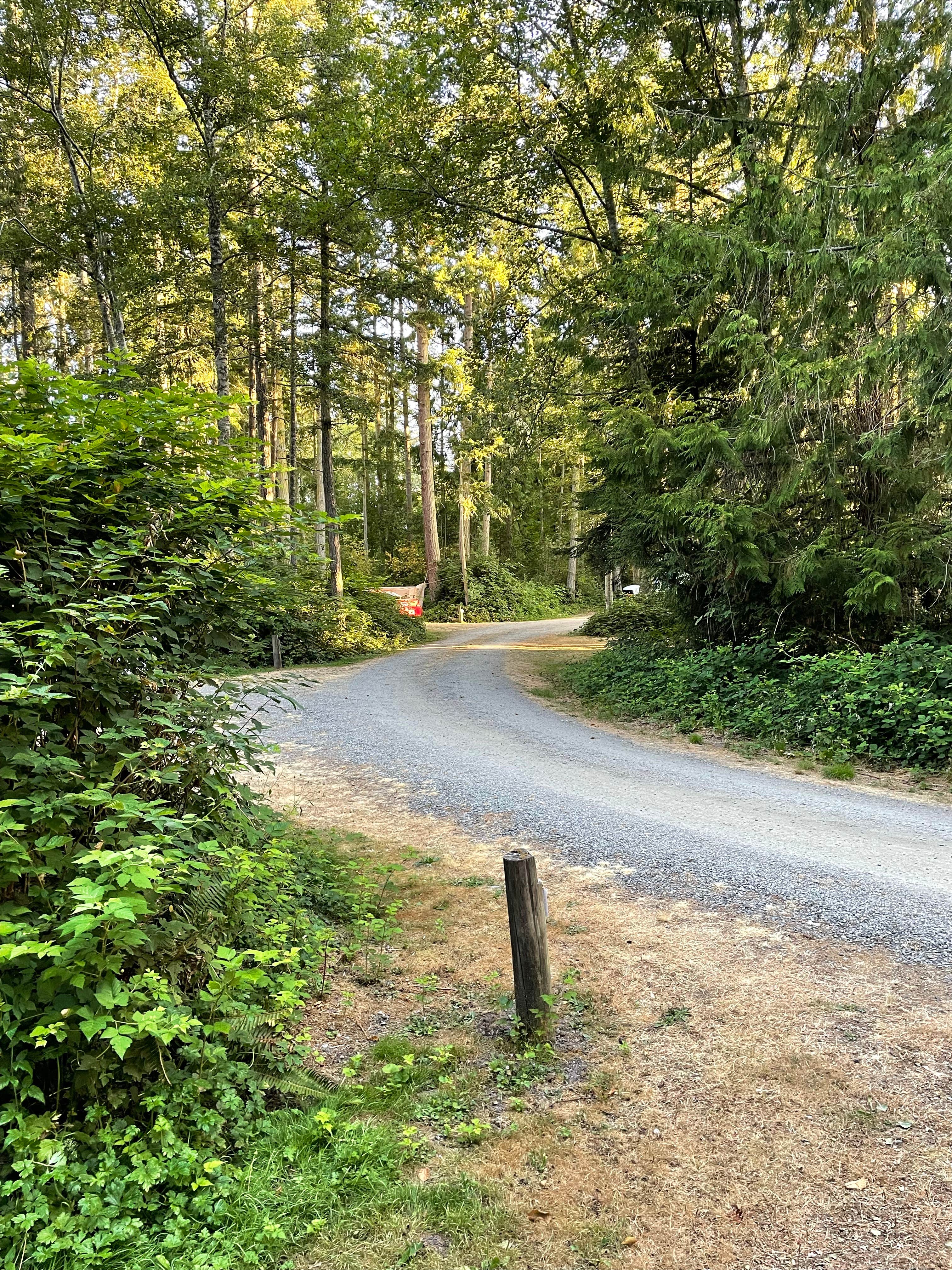 Camper submitted image from Upper Oak Bay Park - 1