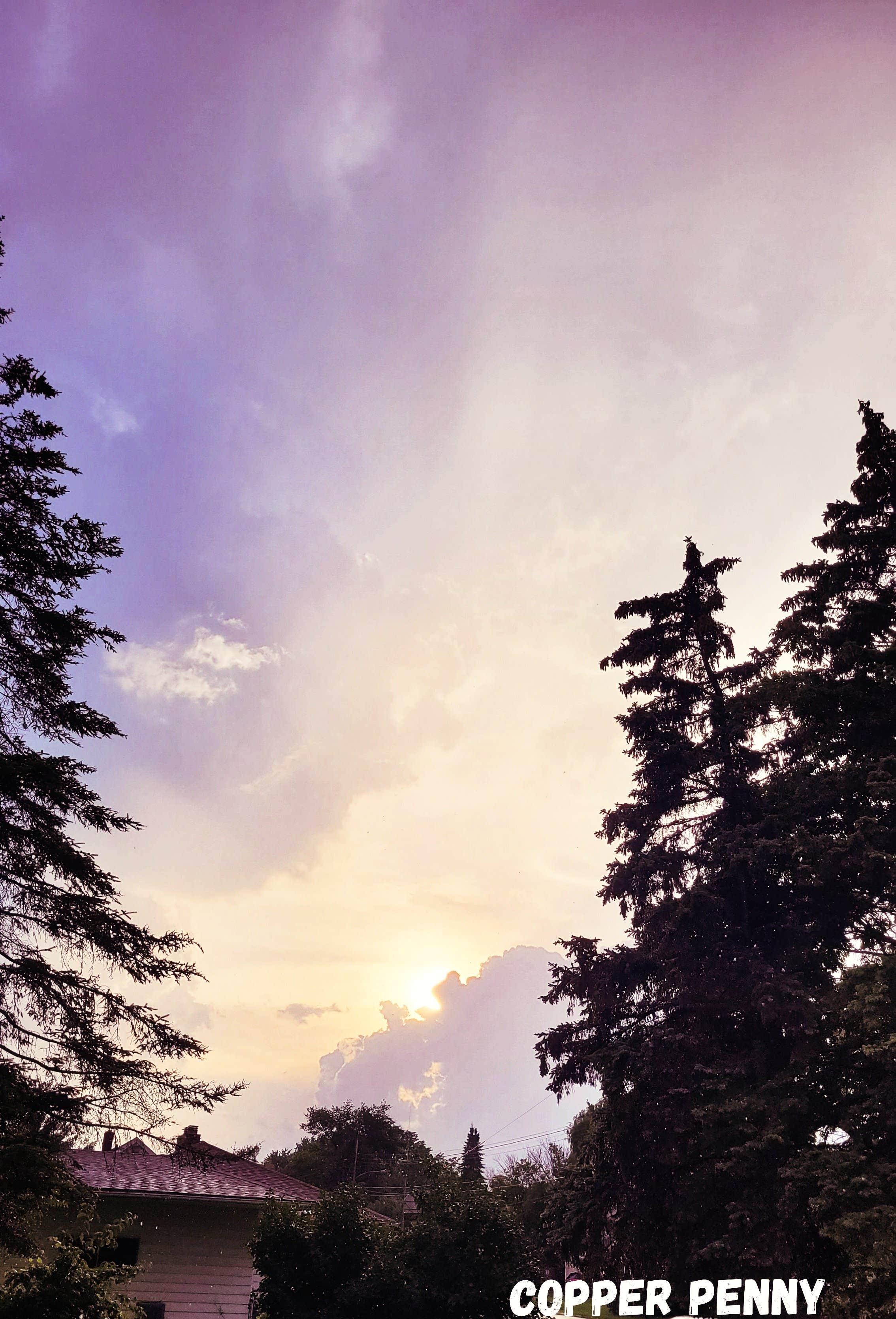 Camper-submitted photo at Robinson Campground near Mancelona, MI