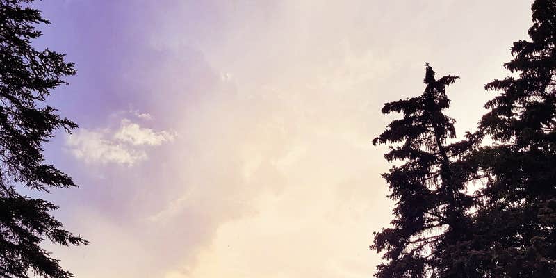 Camper submitted image from Robinson Campground