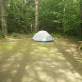 Review photo of Passaconaway Campground by denise L., June 18, 2018