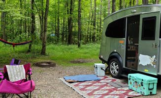 Sue C.'s photo at Chenango Valley State Park Campground near Bainbridge, NY