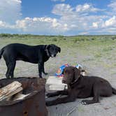 Review photo of Rabbit Hole Ranch by Renata S., August 10, 2021