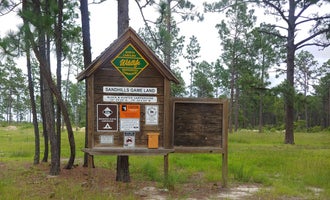 Camping near Birkhead Mountain Wilderness Area Dispersed: Sandhills Campground B, Pinebluff, North Carolina
