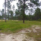 Review photo of Sandhills Campground B by Marvin D., August 10, 2021