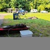 Review photo of Fillmore Glen State Park Campground by glenn S., August 10, 2021