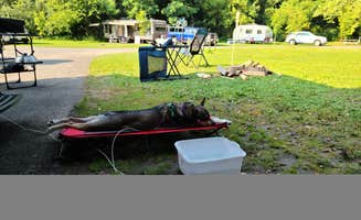 glenn S.'s photo of camping with pets at Fillmore Glen State Park Campground near Cazenovia, NY