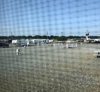 Camper-submitted photo from Camping World Charlotte Motor Speedway
