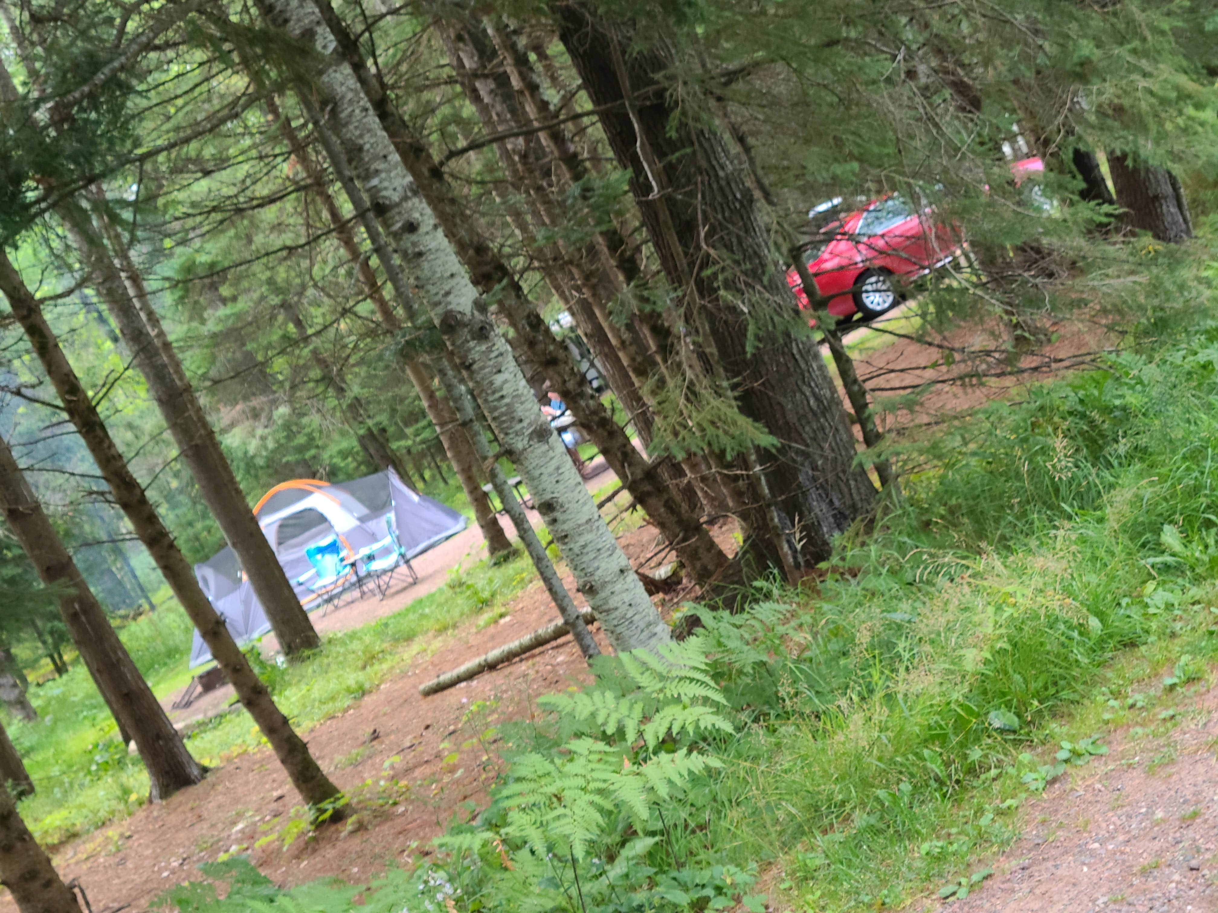 Camper submitted image from Big Bay State Park Campground - 4