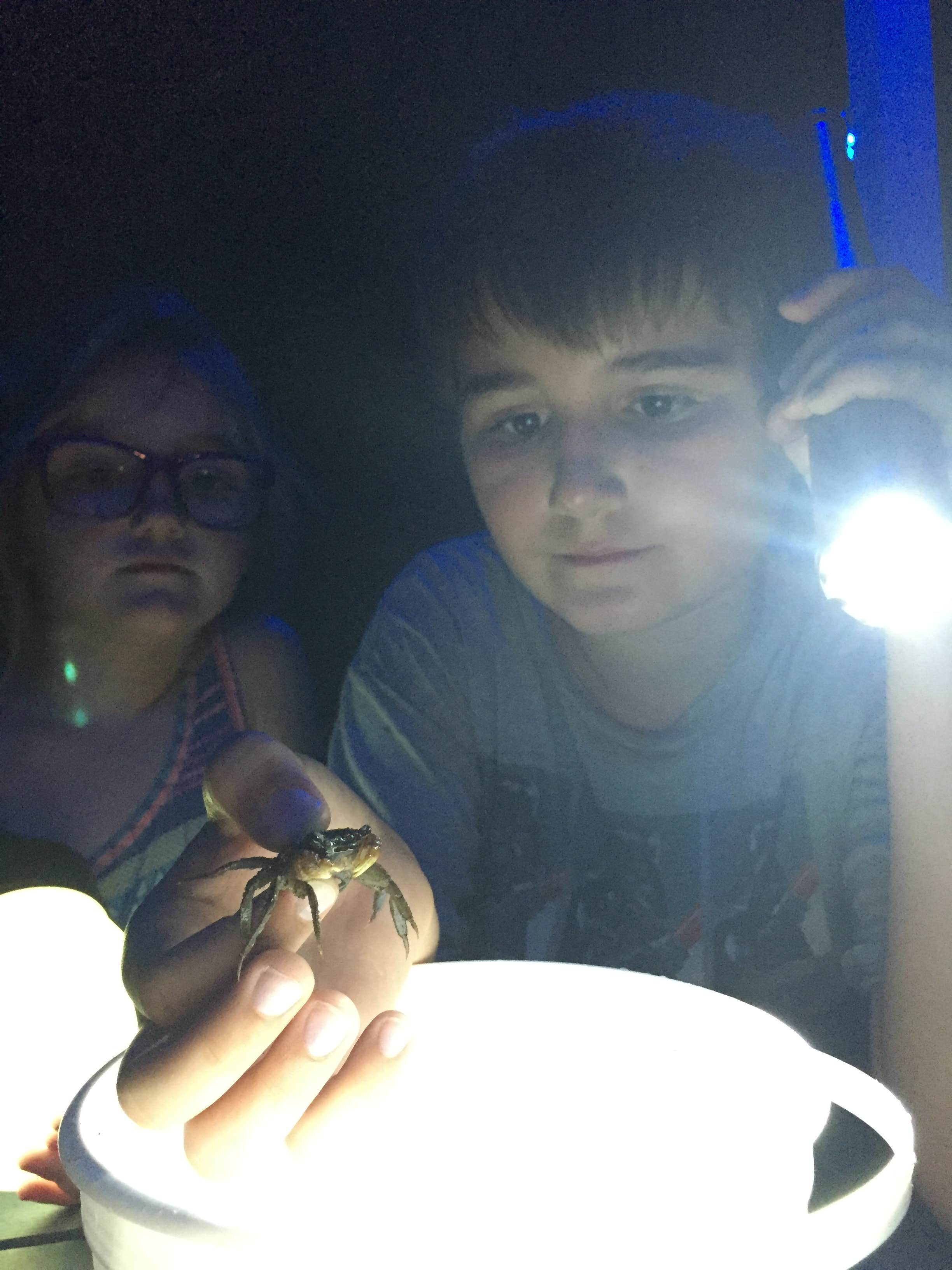 Camper-submitted photo at Emerald Beach RV Park near Navarre, FL