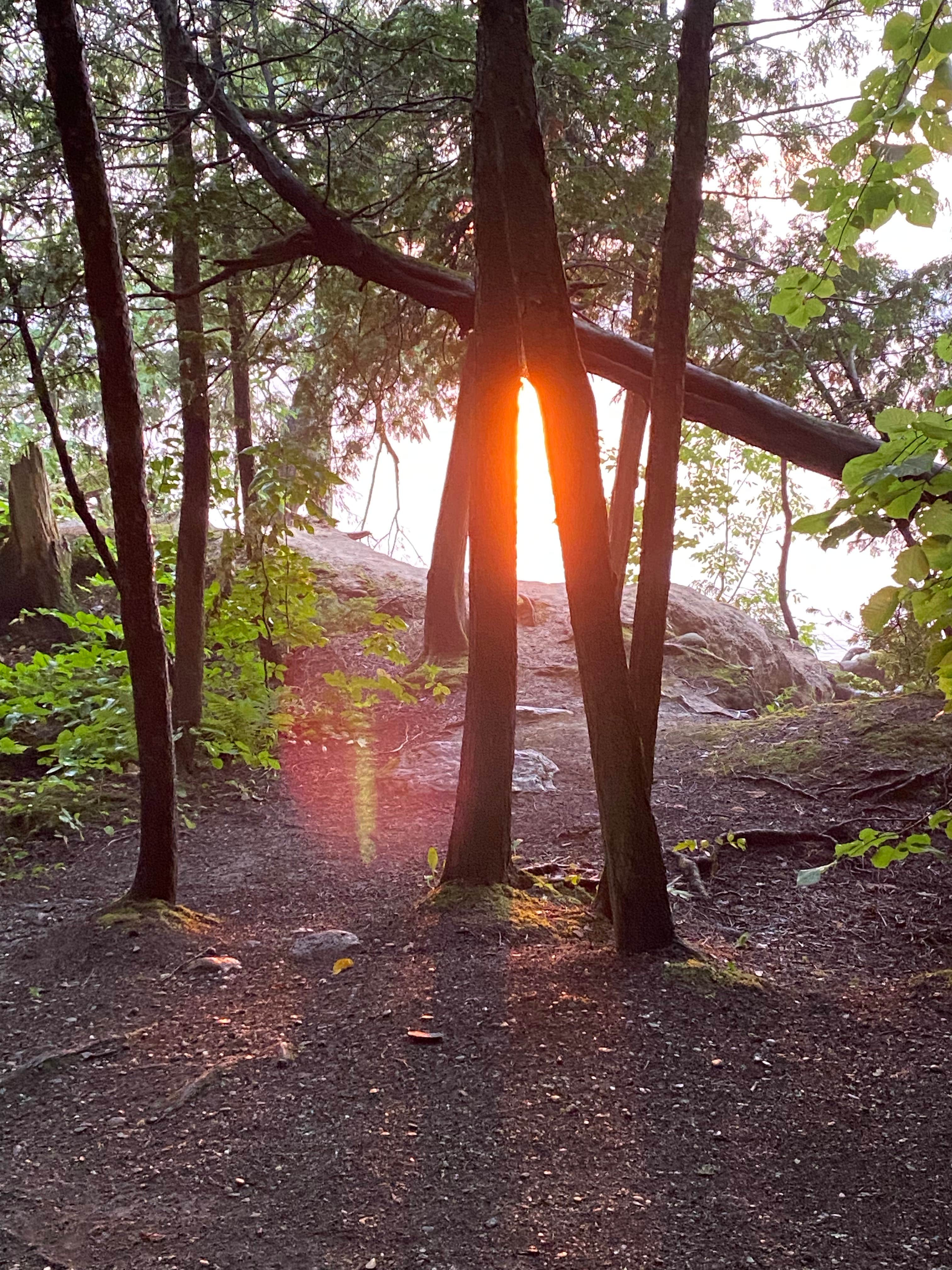 Camper submitted image from Lake Carmi State Park Campground - 2