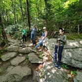 Review photo of Julian Price Park Campground — Blue Ridge Parkway by Holly H., August 10, 2021