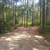 Review photo of Norway Beach - Wanaki Campground Loop by Amber R., August 10, 2021