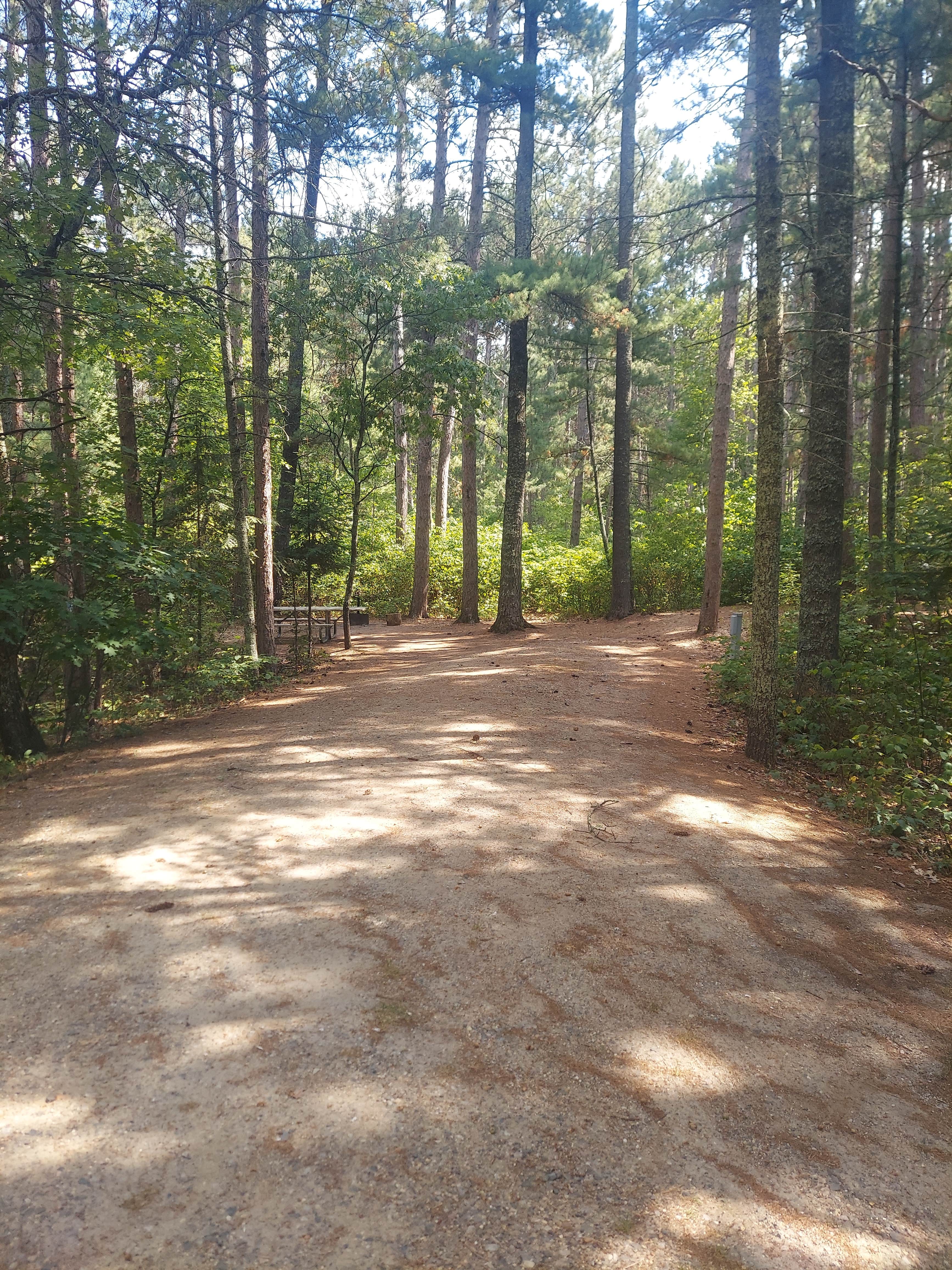 Camper submitted image from Norway Beach - Wanaki Campground Loop - 1