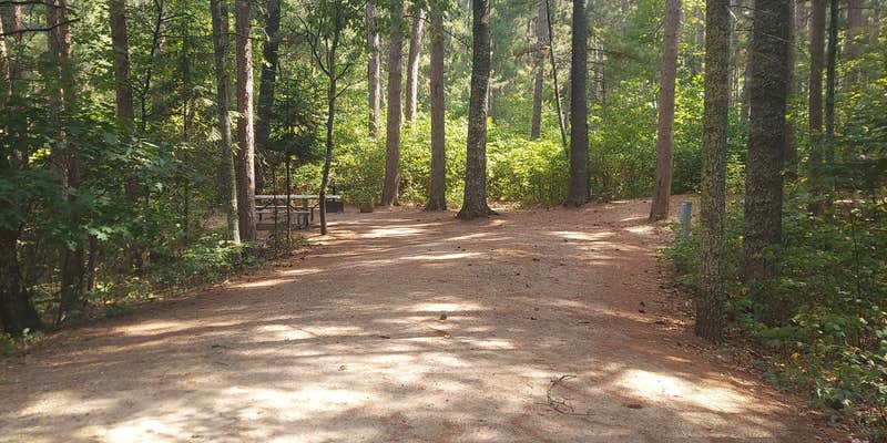 Camper submitted image from Norway Beach - Wanaki Campground Loop