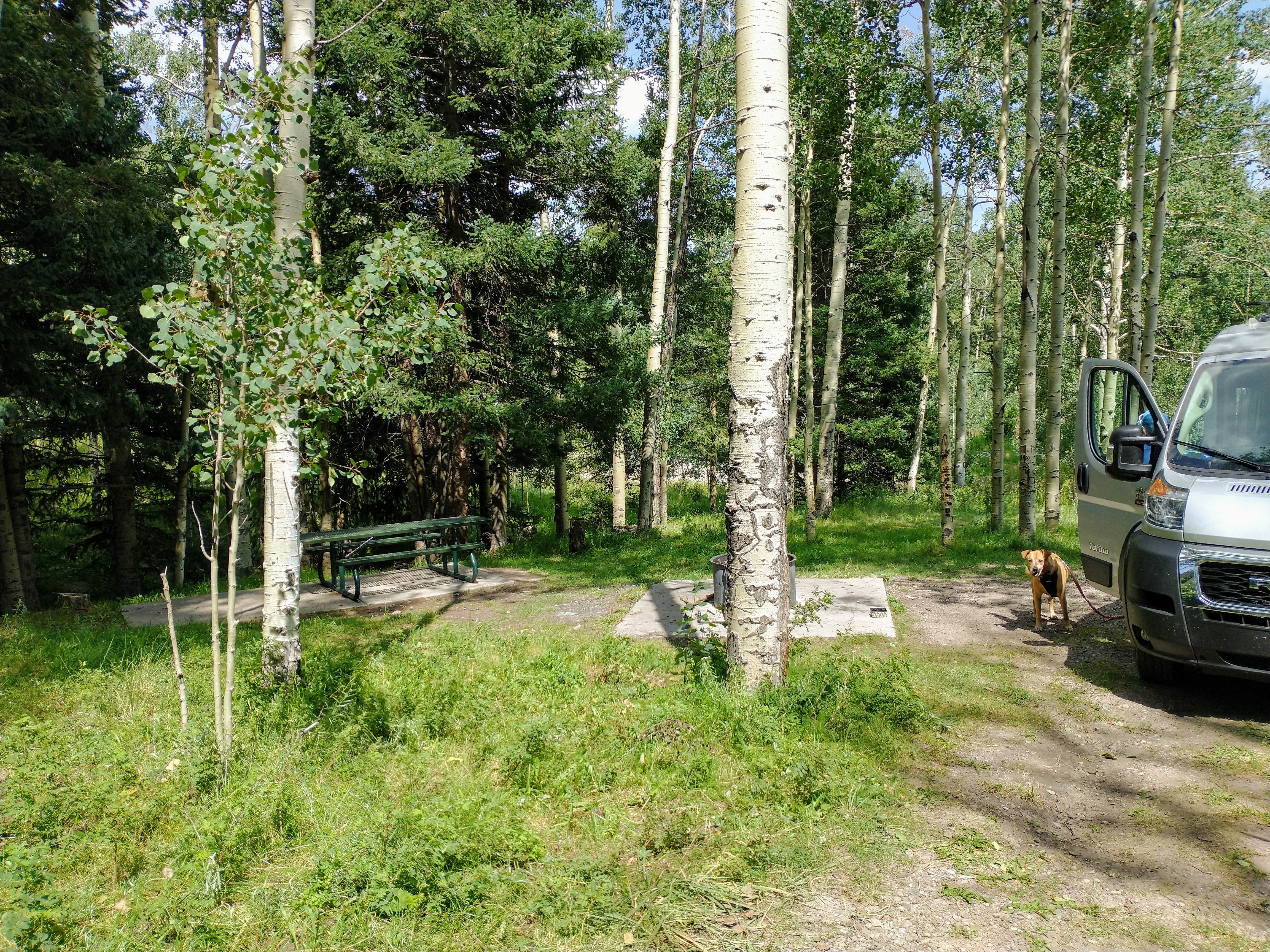 Camping near White Rock Visitor Center RV Park: Camp May, Los Alamos, New Mexico