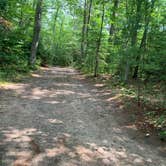 Review photo of Bay View (Hiawatha National Forest, MI) by Neil T., August 10, 2021