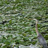 Review photo of Haas Lake Park RV Campground by Christian C., August 10, 2021