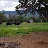 Review photo of Baca Campground by Elaine C., August 10, 2021