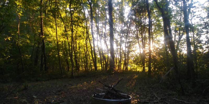 Camper submitted image from Hanks Holler⁸