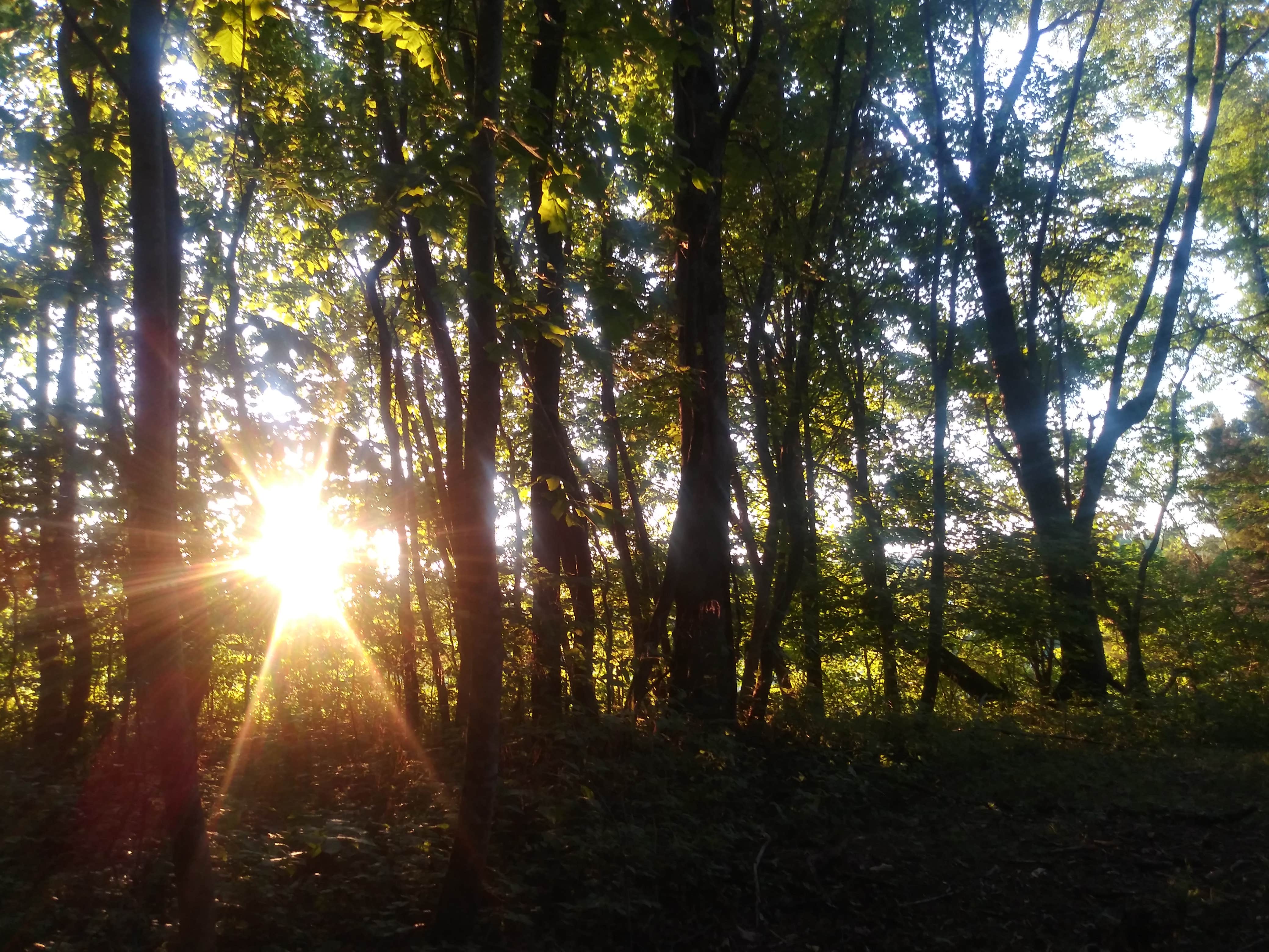 Camper-submitted photo at Hanks Holler⁸ near Springfield, TN