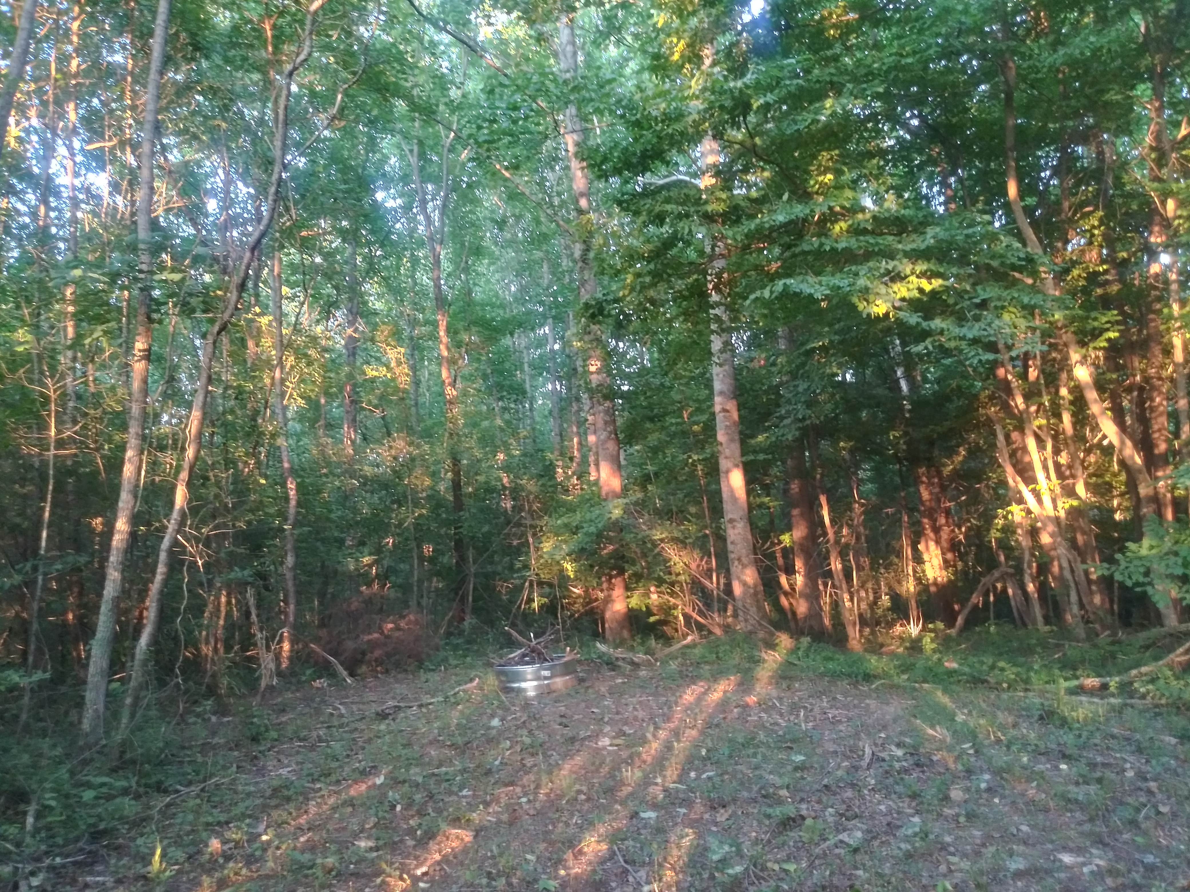 Camper-submitted photo at Hanks Holler⁸ near Springfield, TN