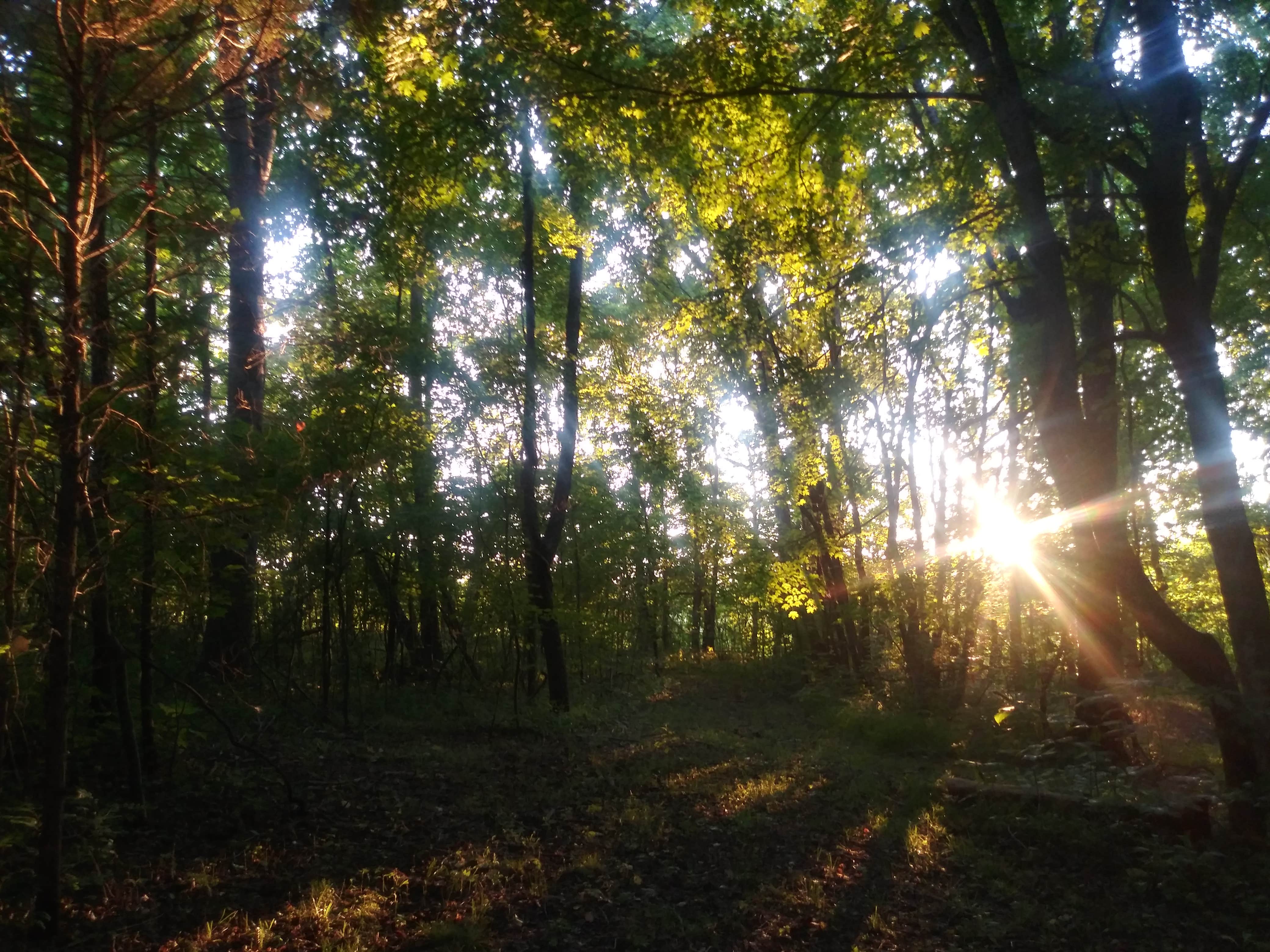 Camper-submitted photo at Hanks Holler⁸ near Springfield, TN